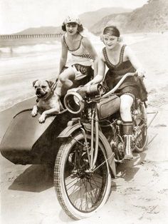 sidecar-flappers